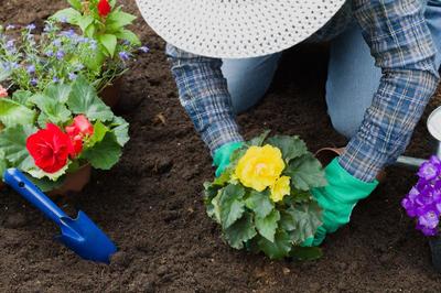 花卉种植图片-正在种植黄色花卉的女人素材-高清图片-摄影照片-寻图免费 .