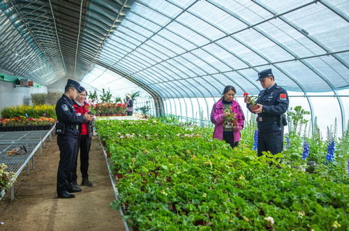 新疆伊犁 民警深入大棚话平安