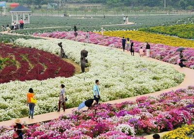 花卉旅游的六类体验产品