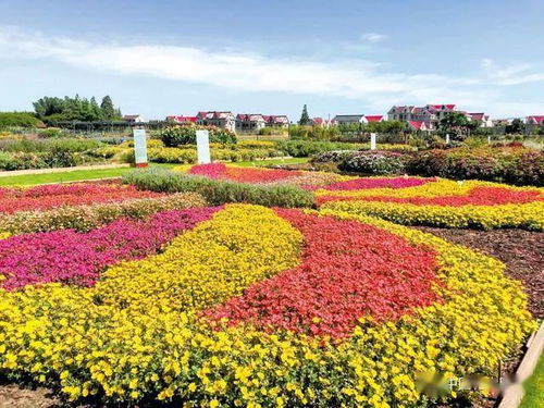 崇明智慧生态花卉园构建多功能花卉产业园区 第十届花博会 上海崇明 专题